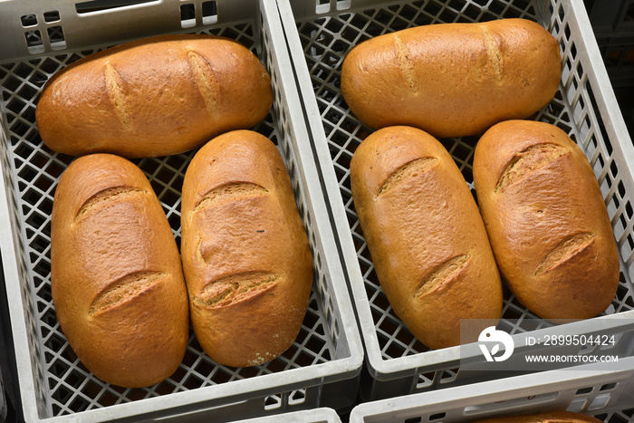 storage and transport of freshly baked loaves of bread in a bakery for sale - industrial food production