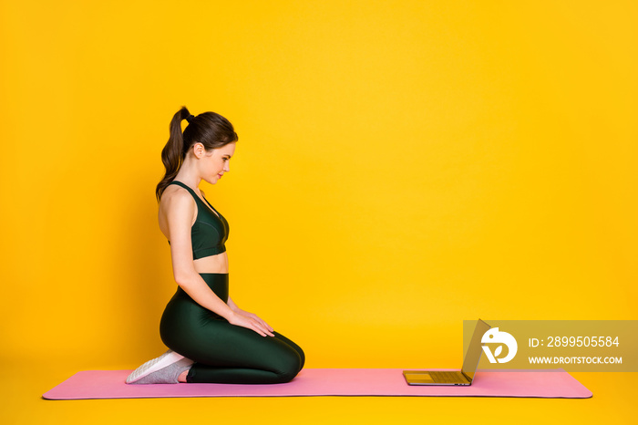 Full body size profile side view of attractive thin focused girl giving online remote master class isolated on bright yellow color background
