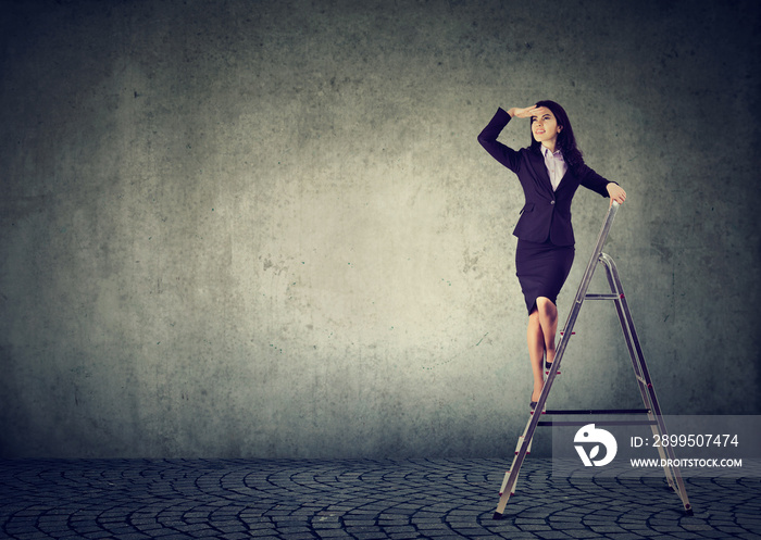 business woman on a ladder looking far away