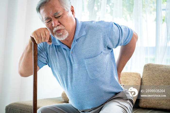 Old asian man suffering from back pain, Health problems medical concept.