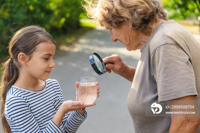 A child and grandmother examines the water with a magnifying glass. Selective focus.