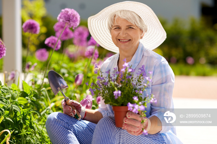 gardening and people concept - happy senior woman planting flowers at summer garden