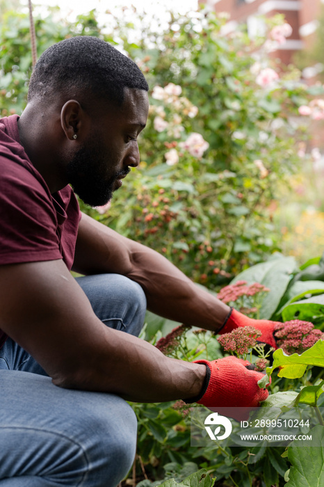 Man working in urban garden