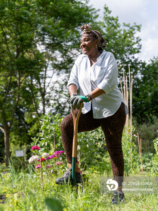 Mature woman gardening in allotment