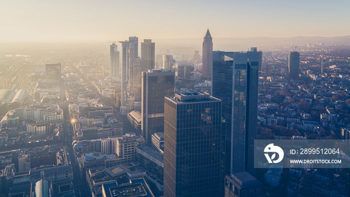 frankfurt am main skyscrapers at sunset