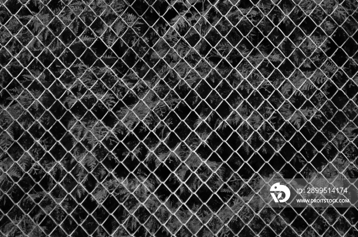 metal mesh,in the photo a mesh on a gray background