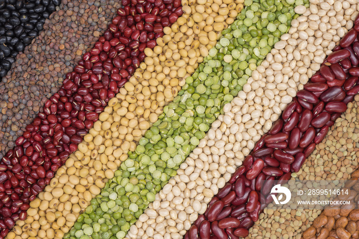 Multicolor dired legumes for diagonal background, Different dry bean for eating healthy