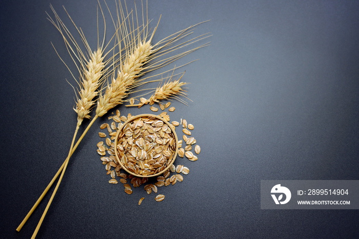 Rye flakes in a round wooden bowl and spikelets of wheat on a gray background.