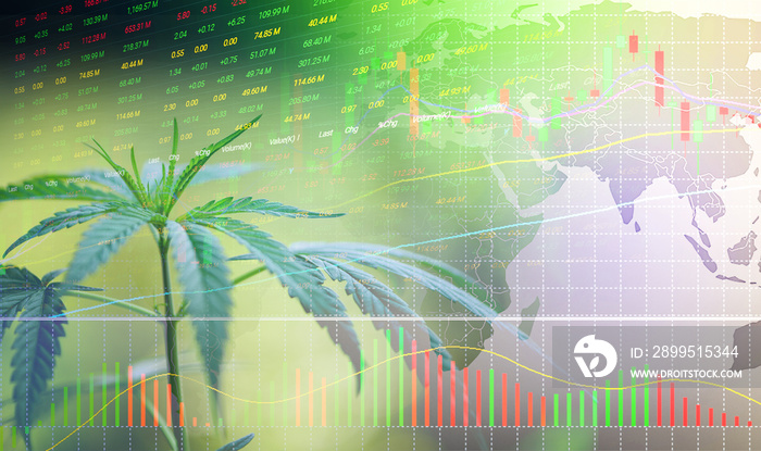 Business cannabis stock leaves marijuana success market price green profit growth