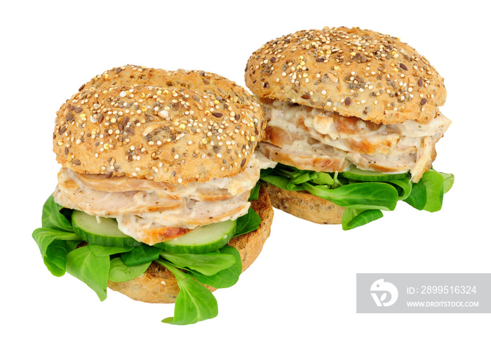 Roast chicken and salad sandwiches in multi seed topped bread rolls isolated on a white background