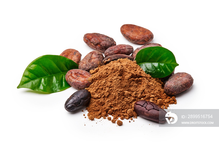 Cocoa beans with cocoa leaves and cocoa powder isolated on white