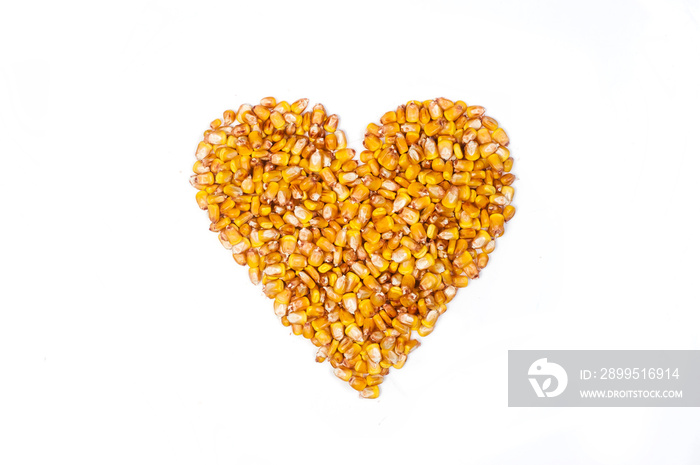 mature corn on a white background