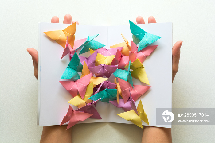 Mental health concept. Colorful paper butterflies sitting on book in shape of butterfly. Harmony emotion. Origami. Paper cut style.