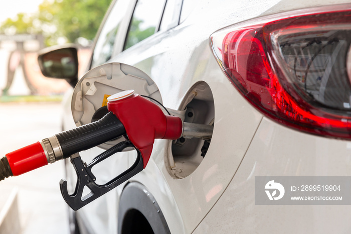 Refill and filling Oil Gas Fuel at station.Gas station - refueling.To fill the machine with fuel. Car fill with gasoline at a gas station. Gas station pump.