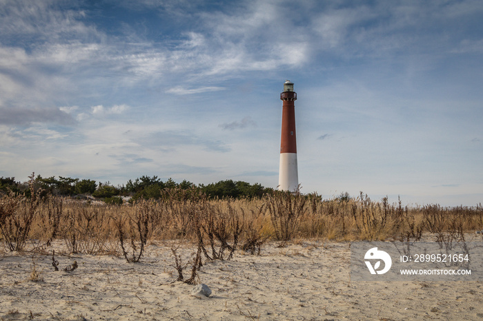 Barnegat Lighthouse, NJ, surrounded by sandy beach and golden wild grasses on a brisk winter day under blue cloudy sky