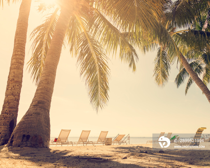 Tropical beach with palm trees and sunny sky