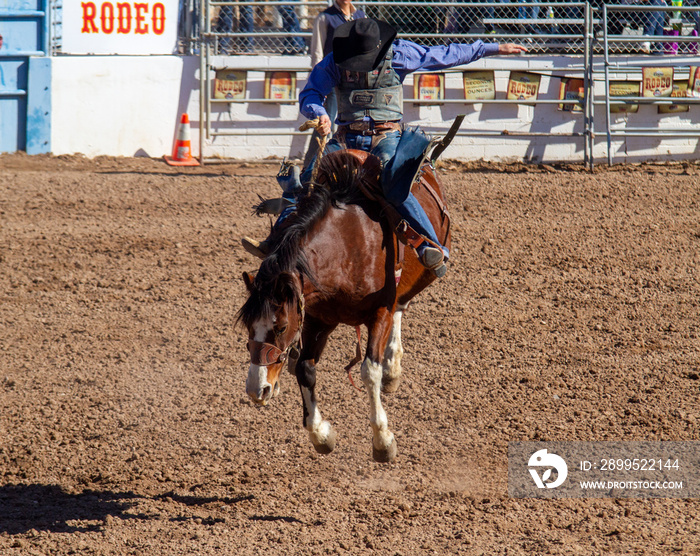 Saddlel Bronc