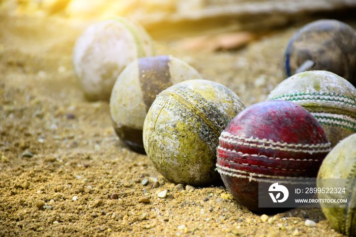 Old cricket balls for training and practising on sand floor beside the court, soft and selective focus on yellow cricket ball in the middle.