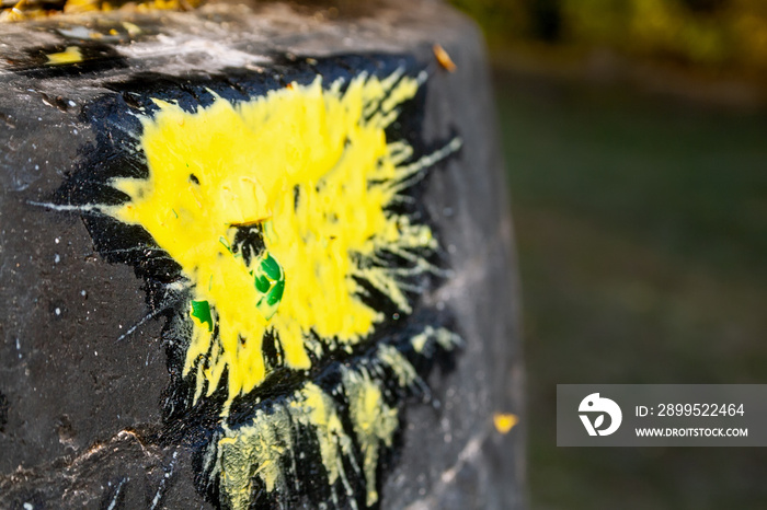 Yellow paint splash from a crashed green paintball on an old car tire background. Selective focus