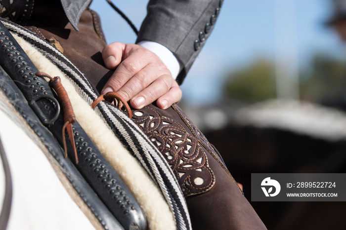 Detail of the hand of a rider and his Zahon in the traditional doma vaquera