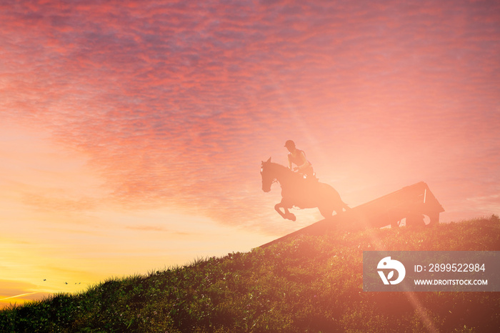 Horse jumping over an obstacle