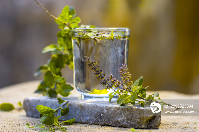 Water of holy basil, tulsi or Ocimum tenuiflorum in a transparent glass.