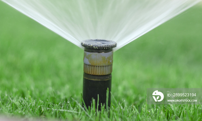 automatic sprinkler system watering the lawn on a background of green grass