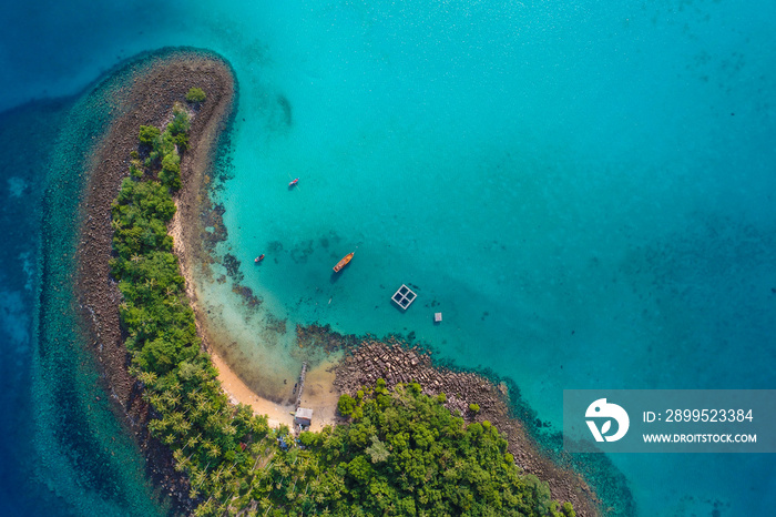 Blue turquoise water sea island with green tree summer vacation background