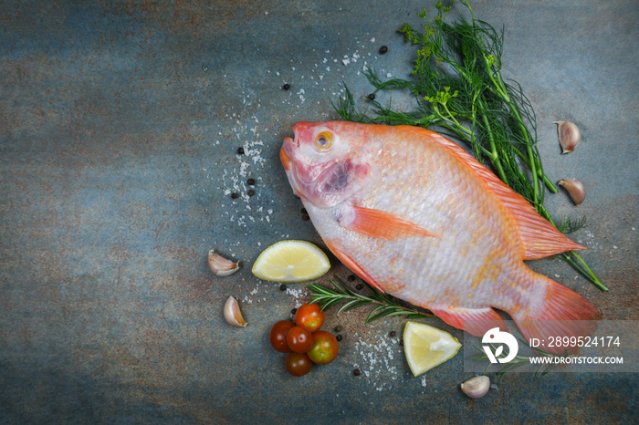 Fresh fish with herbs spices rosemary and lemon garlic tomato - Raw fish red tilapia on dark plate background