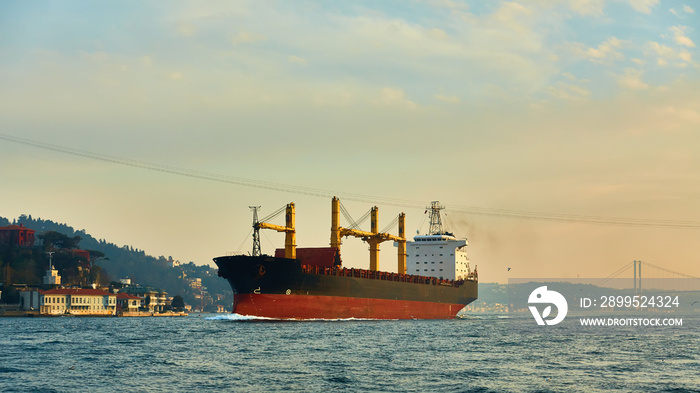 Bulk carrier in Bosphorus Strait, Istanbul, Turkey