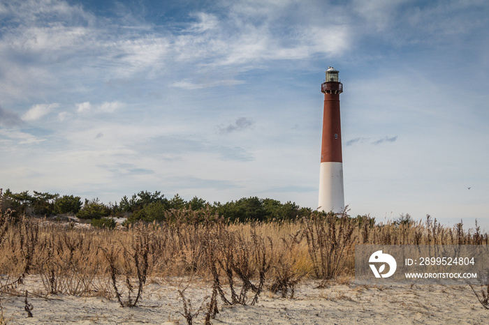 Barnegat Lighthouse, NJ, surrounded by sandy beach and golden wild grasses on a brisk winter day under blue cloudy sky