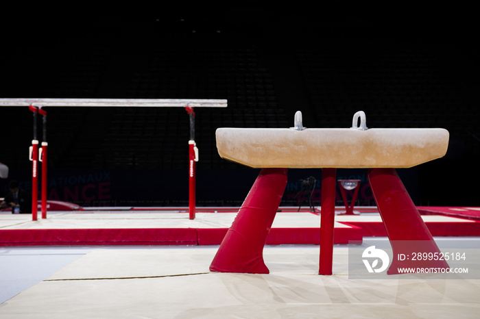 A pommel horse in a gymnastic arena