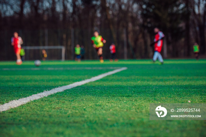 Soccer professional game, concept photo, blurred background