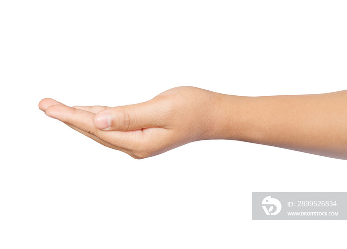 Empty open hand holding of woman isolated ,Palm up