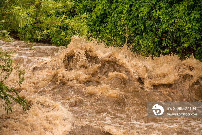 a flood of dirty water