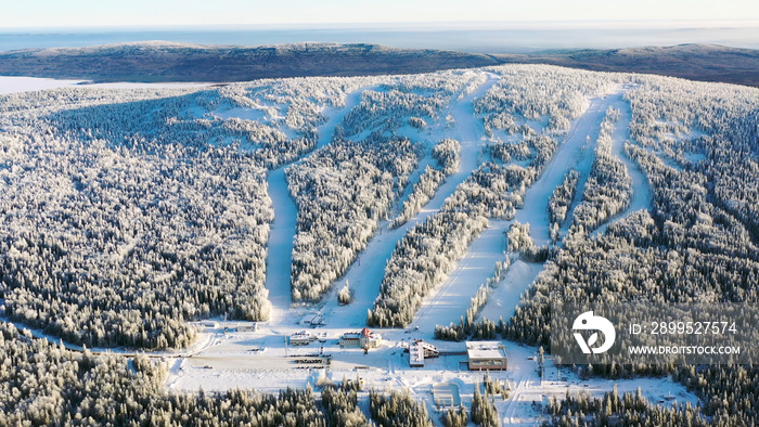 Aerial of the ski resort with funicular in the snowy forest in a sunny day. Footage. Winter landscape of snowy mountain slope among pine trees on blue sky background.