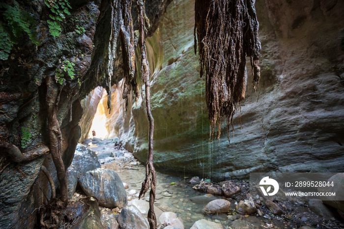 Canyon in Cyprus