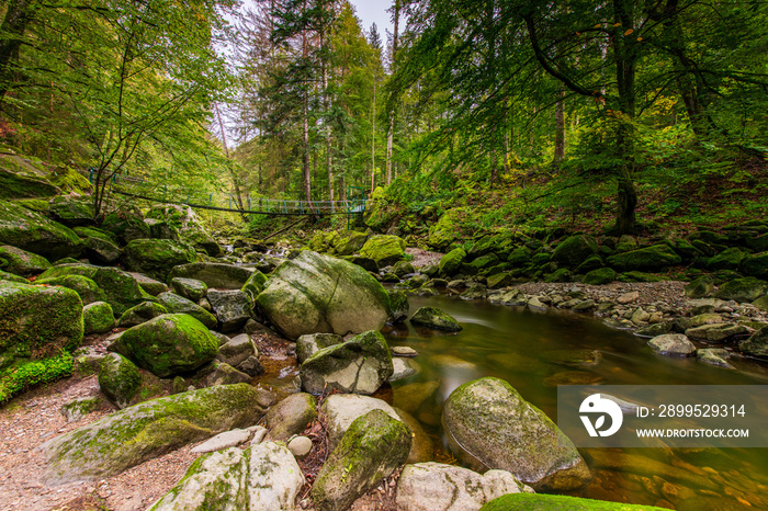 Wildbachklamm Buchberger Leite | Bayerischer Wald