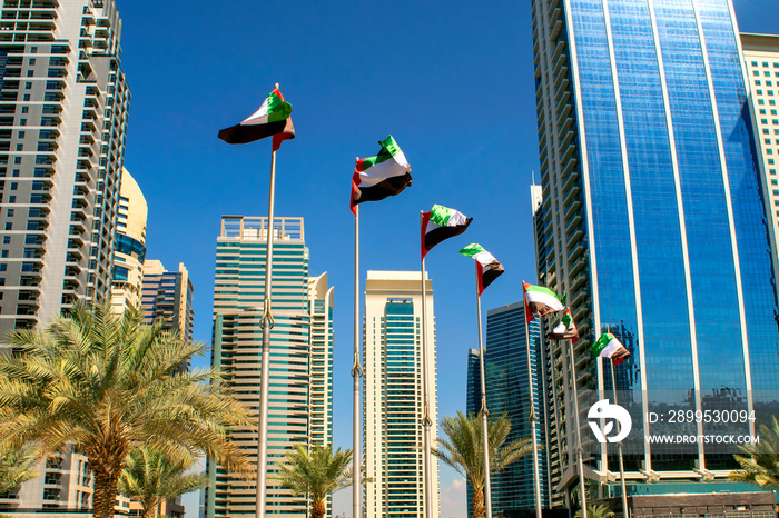 View of Dubai buildings with UAE flags. United Arab Emirates flags waving on blue sky background. Independence day. UAE flags on street. Flag day