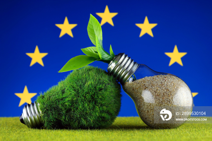 Green eco light bulb with grass, plant growing inside the light bulb, and European Union Flag. Renewable energy. Electricity prices, energy saving in the household.