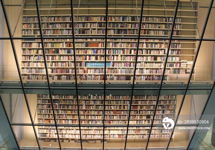 books in the latvian national library  interior