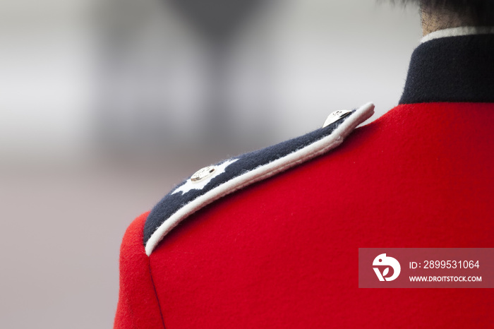 detail of the London guards uniform