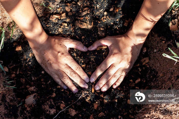 Top view of two hand making a heart shape on ground soil mix coconut dust with sunlight in the garden.