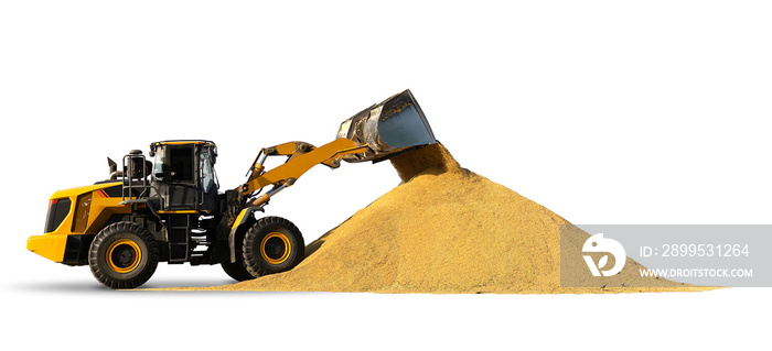 Wheel loader machine unloading paddy rice isolated on white background. with clipping paths.