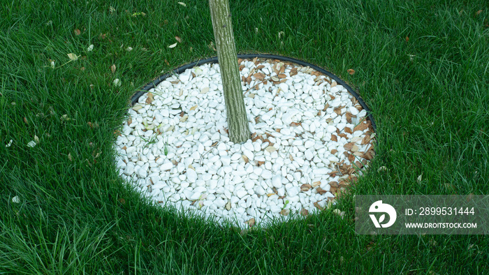 Landscaping pebbles under a tree, decoration with coniferous stone. Plot stone design.