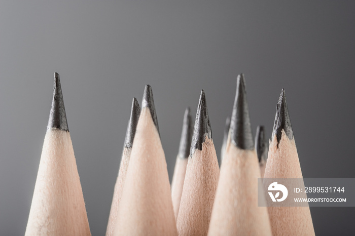 Pencils stand upright closeup on a gray background. Minimalist close-up macro photography of a pencils. Pencil standing, leadership and growth in business concept.