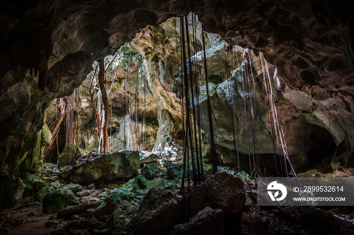 cave in the jungle dominicus republica dominicana