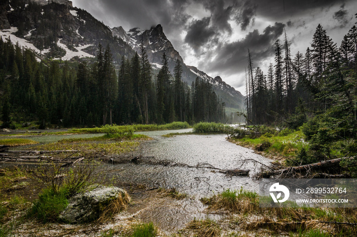 Cascade Canyon im Grand Teton National Park, Wyoming