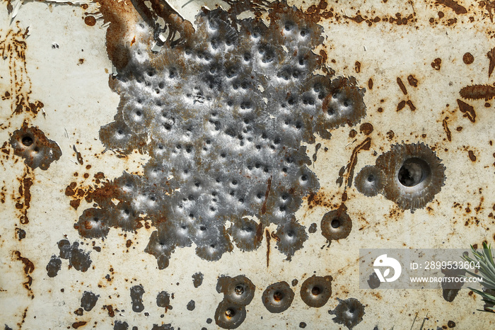 Bullet holes in a rusty metal sheet