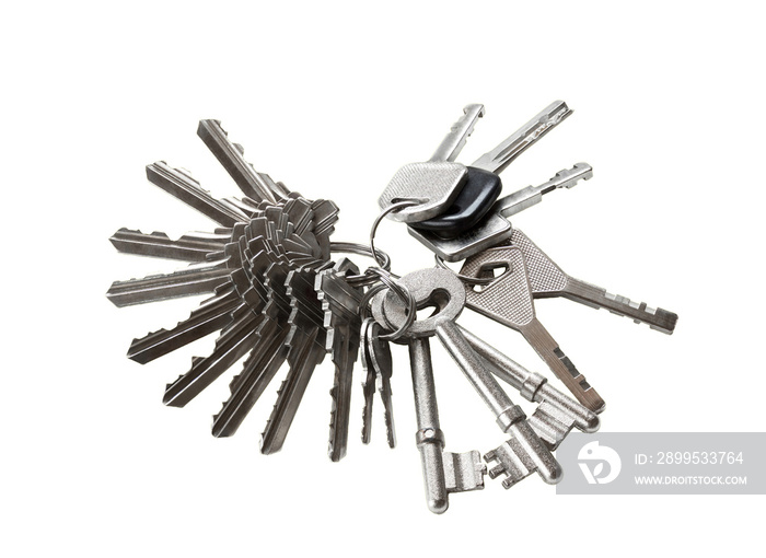 Here are lots of keys for the use of multiple door locks only a single house on a white background (with Clipping Path).